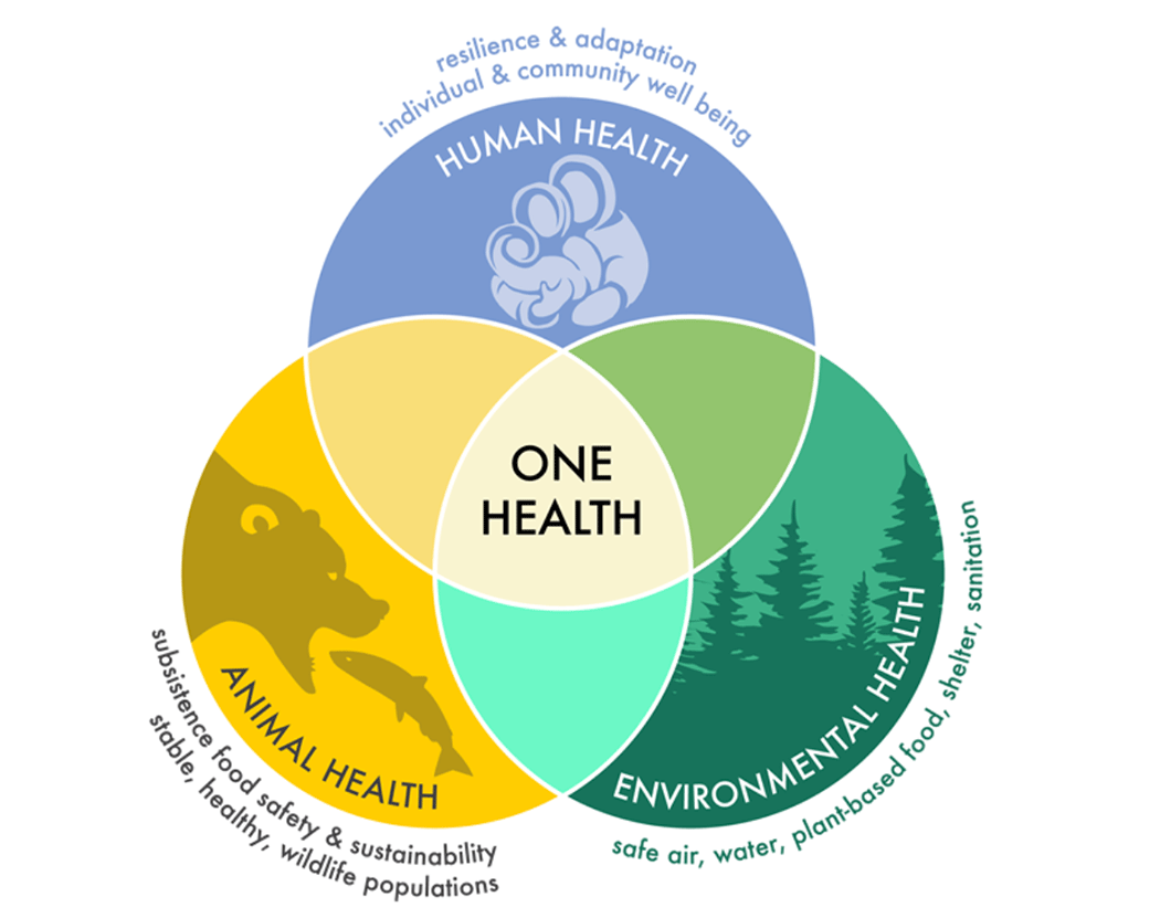 Image credit: UNIVERSITY OF ALASKA FAIRBANKS http://www-uaf-edu-s.njmu.s5.bt8.net/onehealth